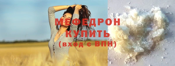 СК Пересвет