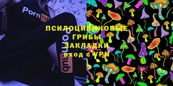 PSILOCYBIN Осинники