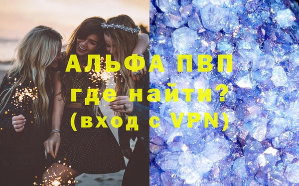 СК Билибино