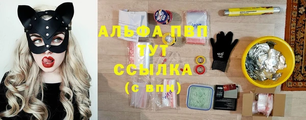 ПСИЛОЦИБИНОВЫЕ ГРИБЫ Пестово