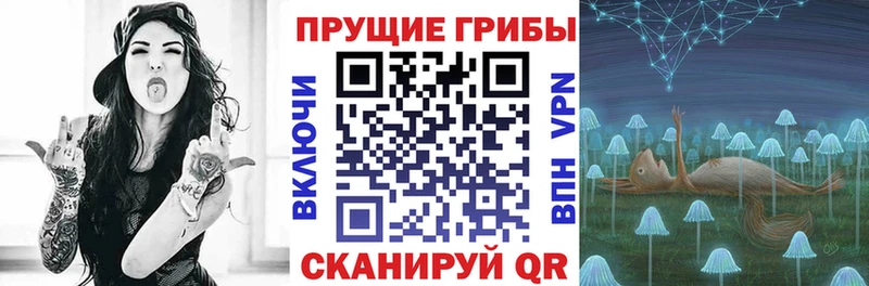 как найти наркотики  блэк спрут маркетплейс  Псилоцибиновые грибы прущие грибы  Людиново 