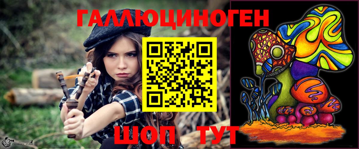 Псилоцибиновые грибы Psilocybe Людиново