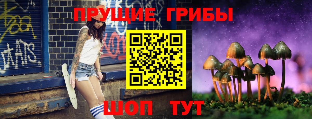 Людиново  Галлюциногенные грибы GOLDEN TEACHER  Вход с VPN 